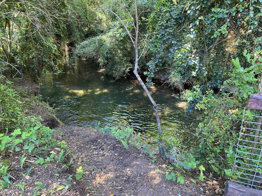 Vila Acogedora Cabana Al Borde Del Rio Claro Pucón Exteriér fotografie